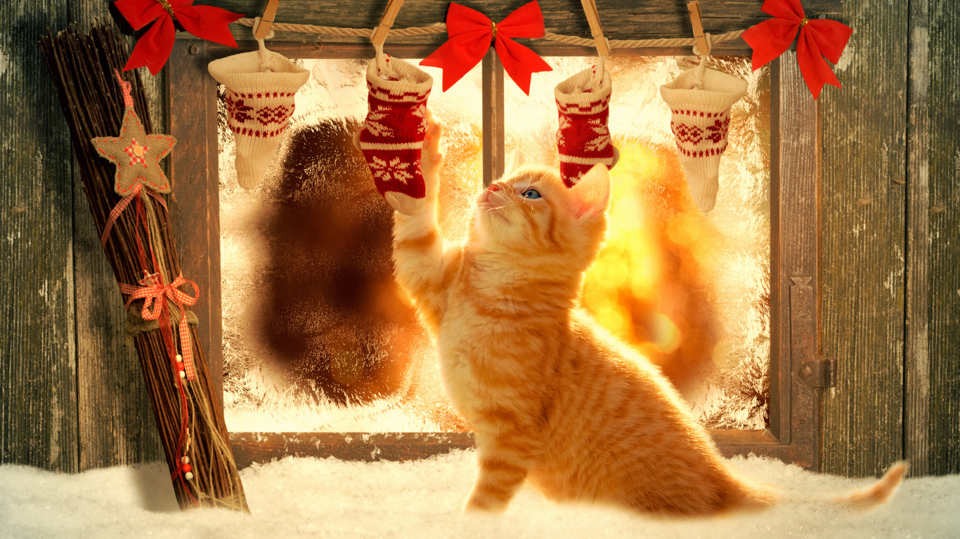 Маленький рыжий котенок играет рождественским декором на окне