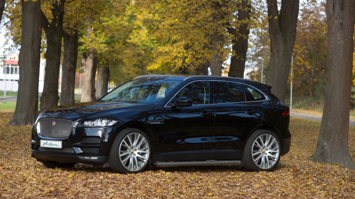 Черный автомобиль  Jaguar F-PACE стоит в парке