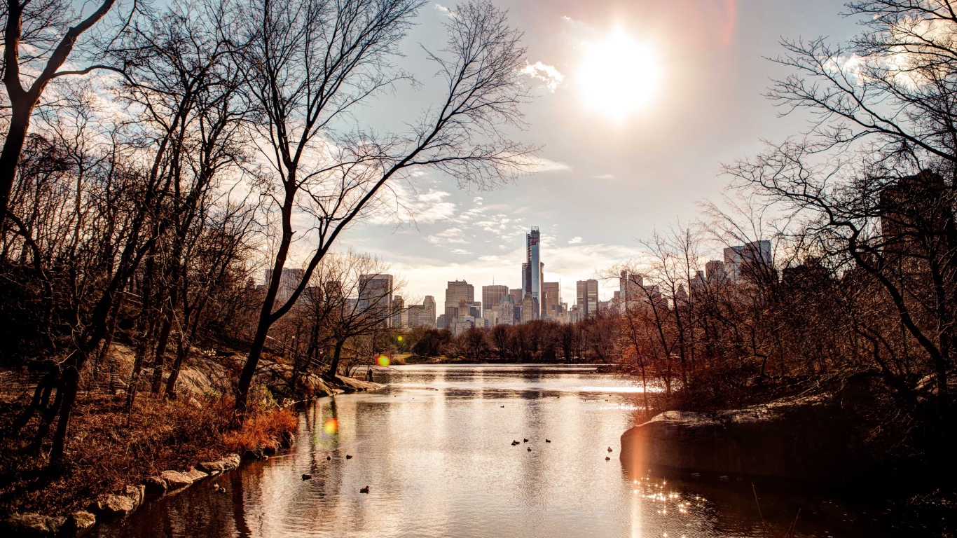 Вид на небоскребы из  городского парка 