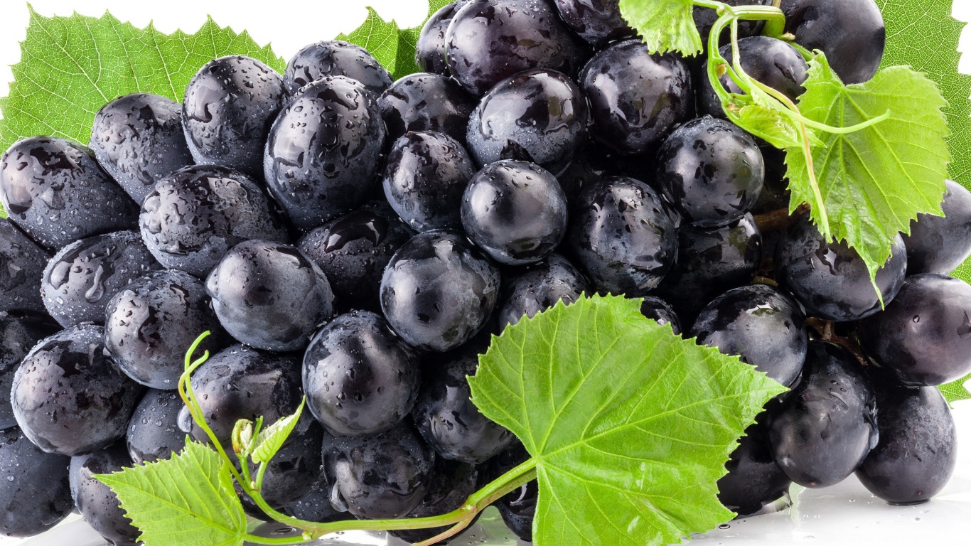 Синий виноград с зелеными листьями крупным планом