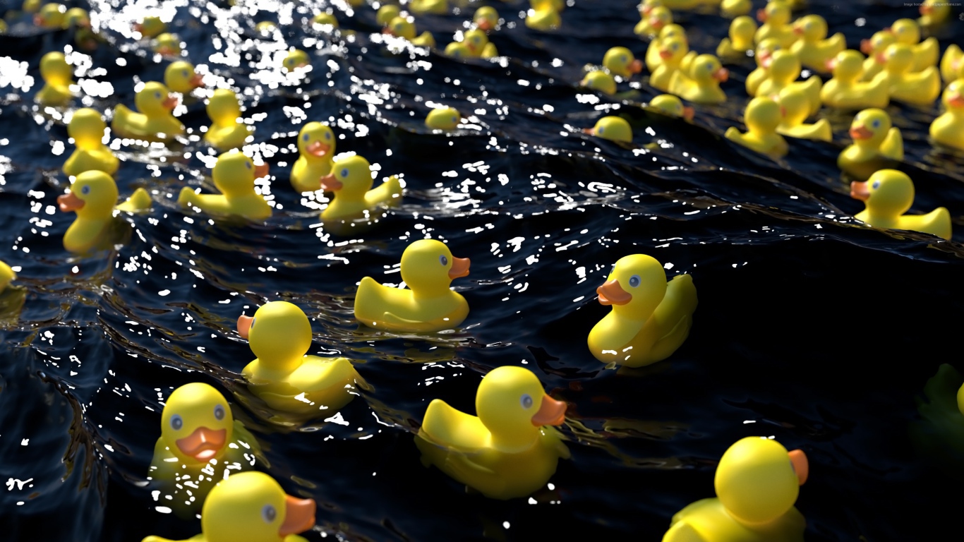 Many yellow rubber ducks in the water