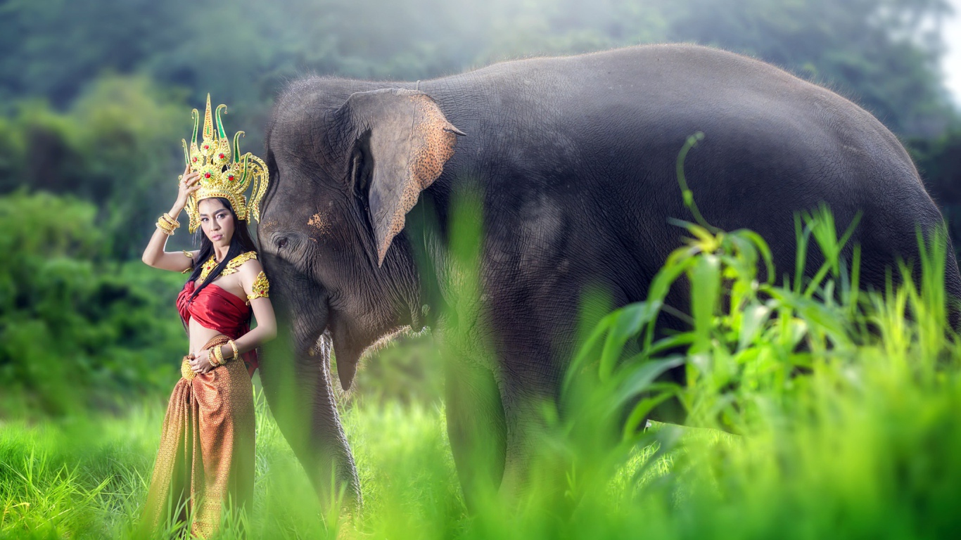 Девушка азиатка в красивом костюме с большим серым слоном