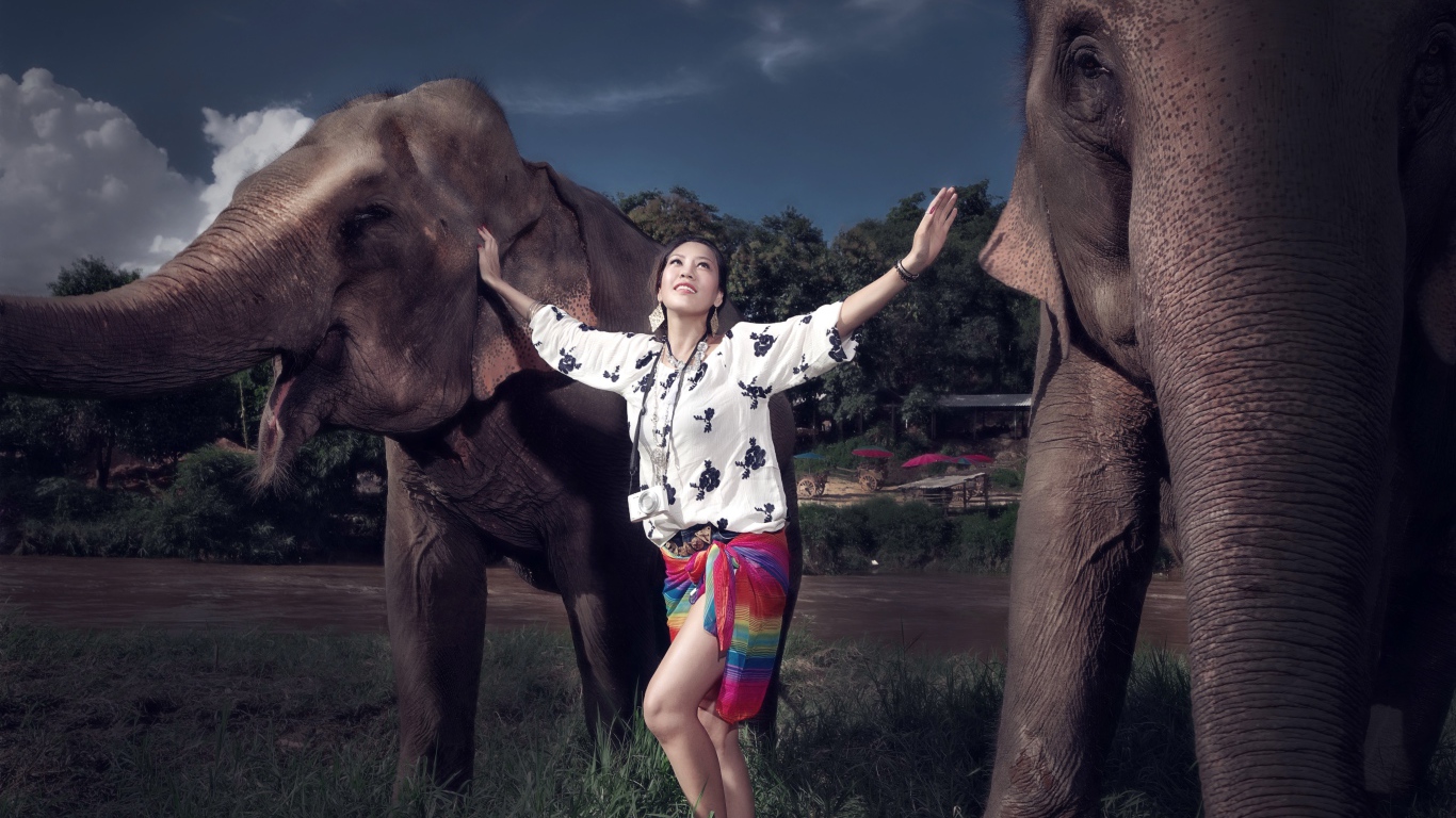 Красивая девушка азиатка с двумя большими слонами