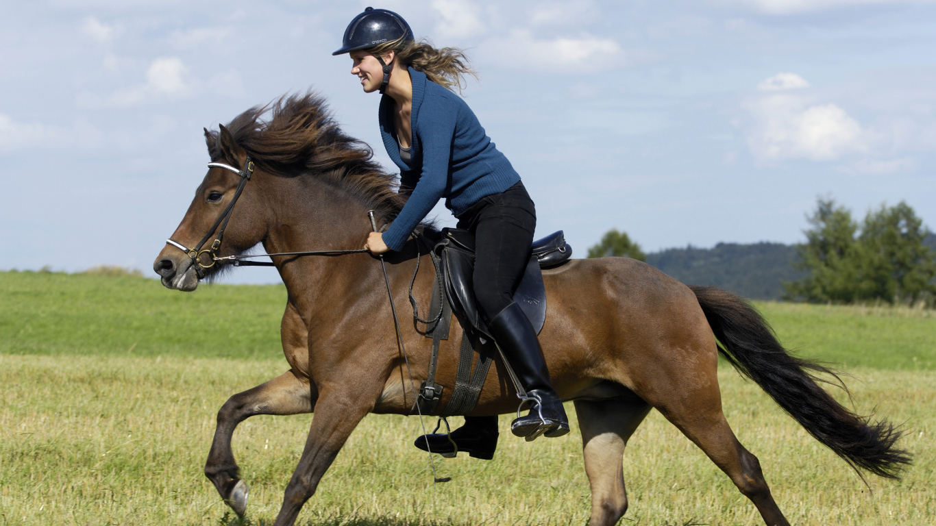 Молодая девушка в шлеме скачет на коричневой лошади