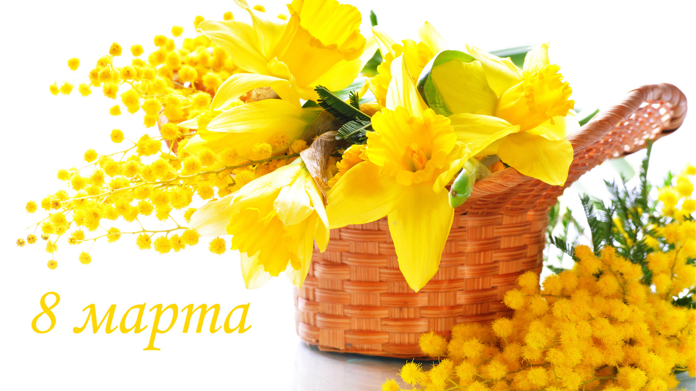 Желтые нарцисы и мимоза на 8 Марта