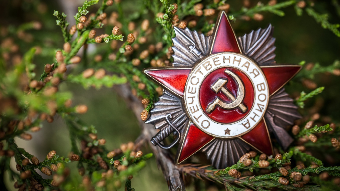 Орден Отечественной войны на День Победы 9 мая 