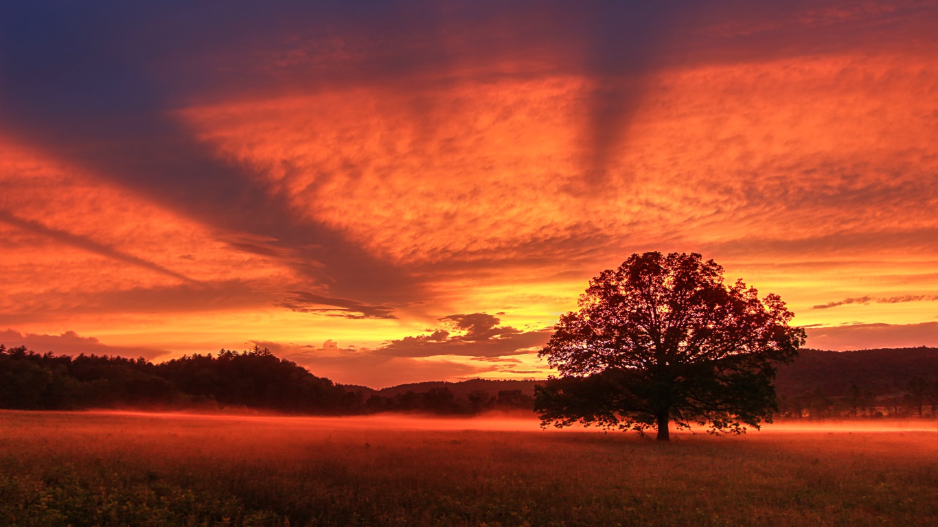 Красивое красное небо на закате  над полем