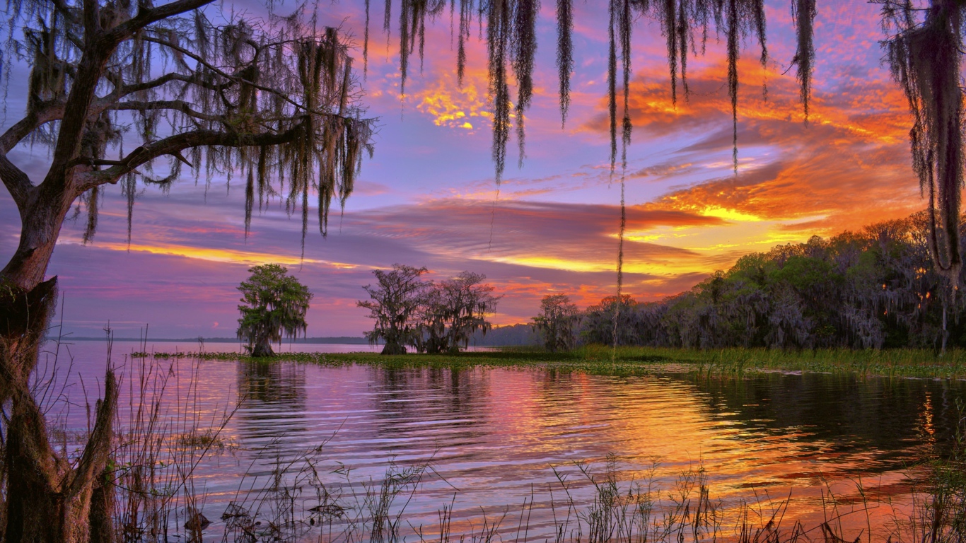 Красивое небо на закате над лесным озером