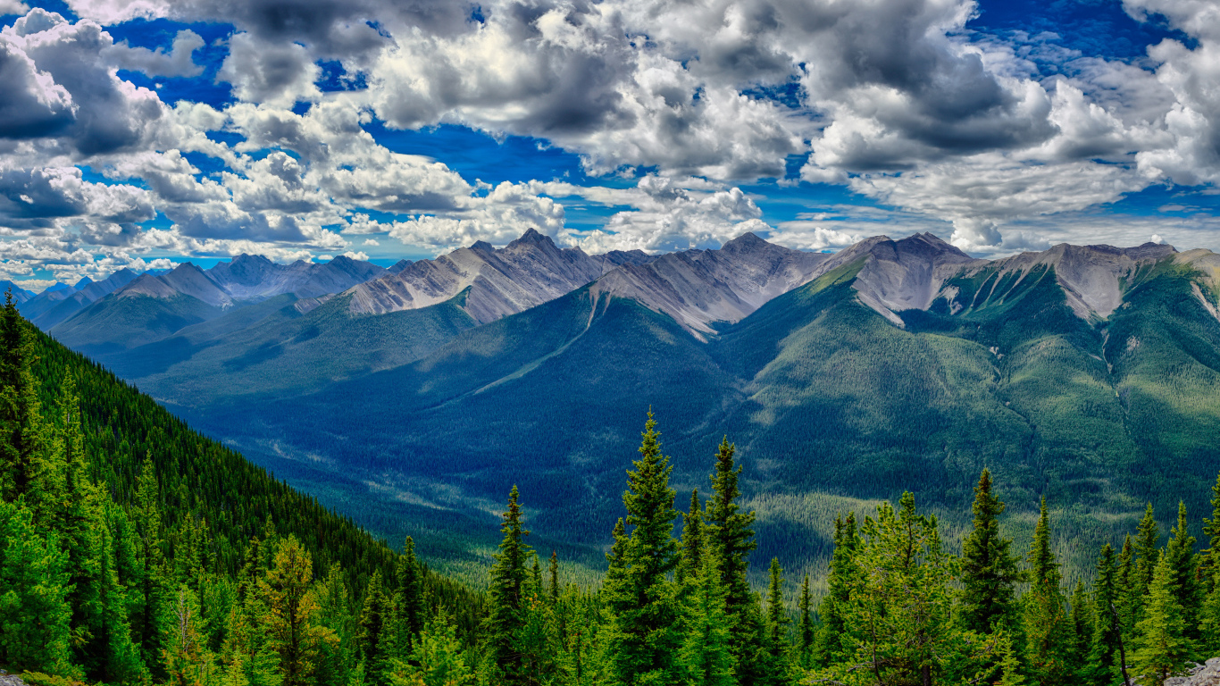 Красивое небо с белыми облаками над покрытыми лесом горами