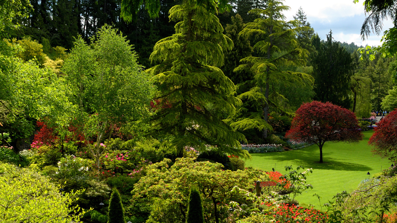 Живописный зеленый парк Канады