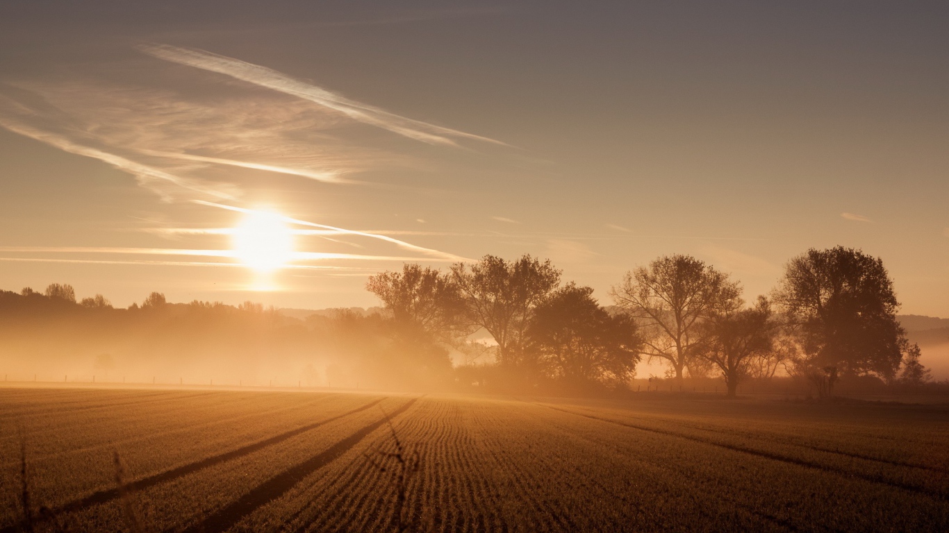 Восход солнца и туман над полем 