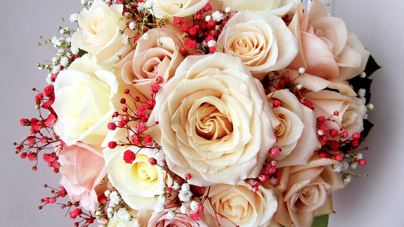 Красивый букет нежных роз кремового цвета 