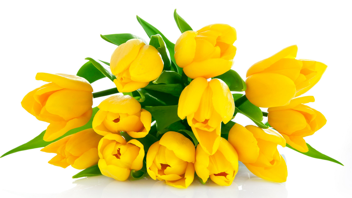 Букет желтых тюльпанов на белом фоне