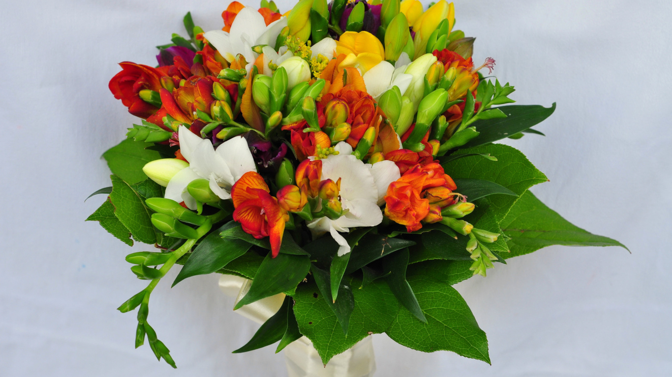 Красивый букет фрезий на сером фоне