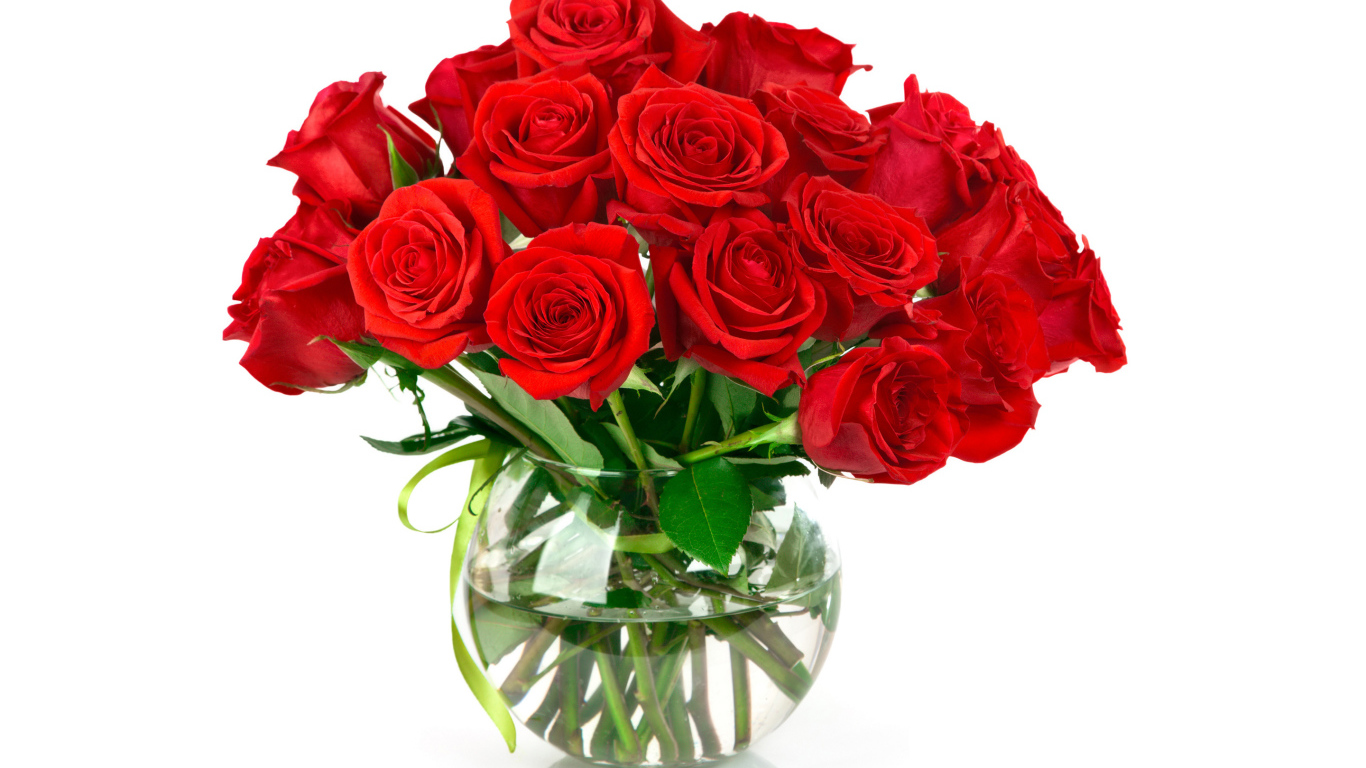 Красивый букет красных роз в стеклянной вазе на белом фоне