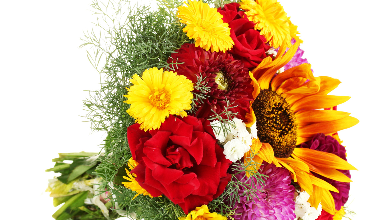 Красивый букет из роз, георгин и подсолнухов на белом фоне