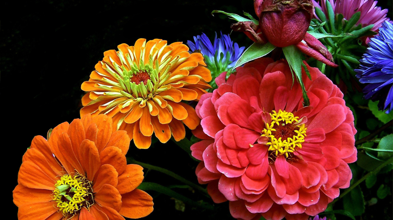 Букет ярких летних цветов 