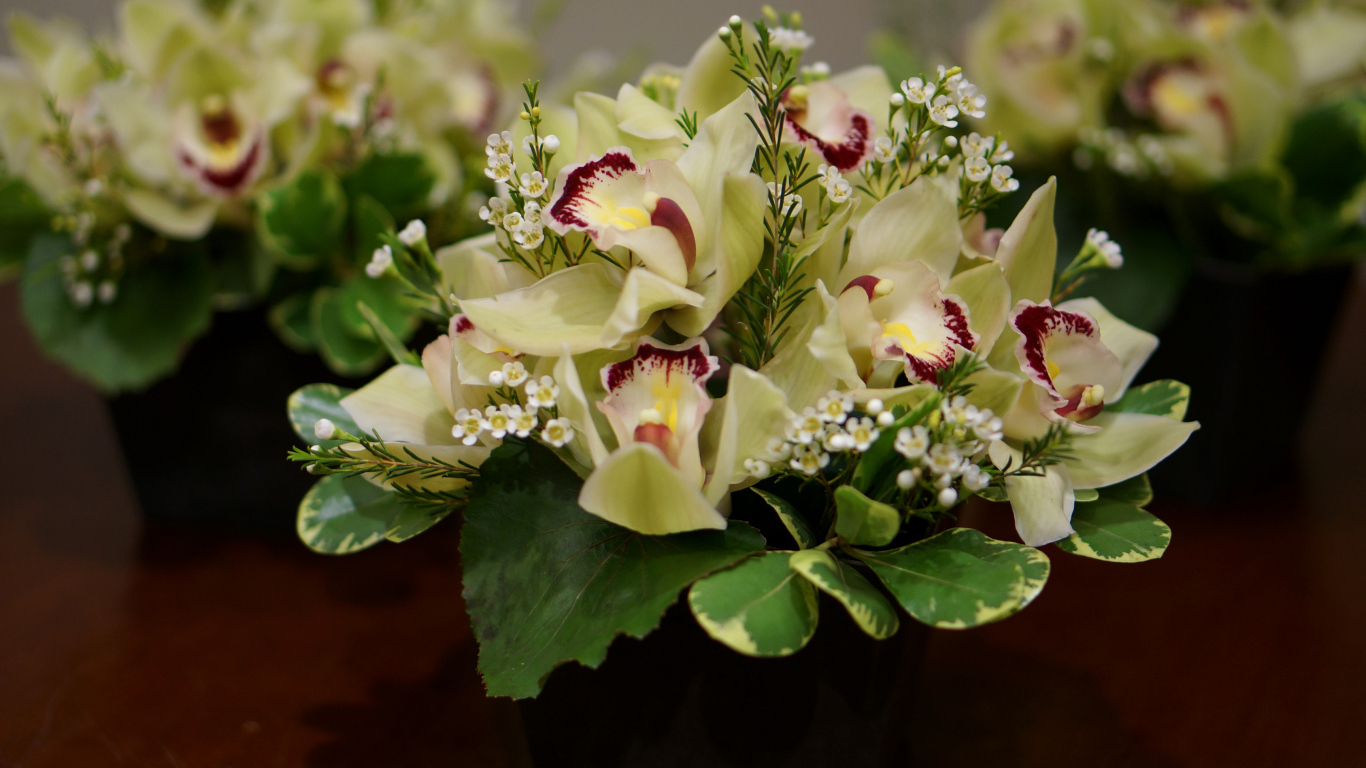 Букет нежной орхидеи и морозника