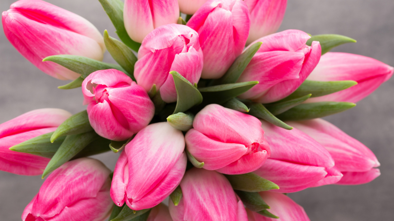 Букет нежных розовых тюльпанов 