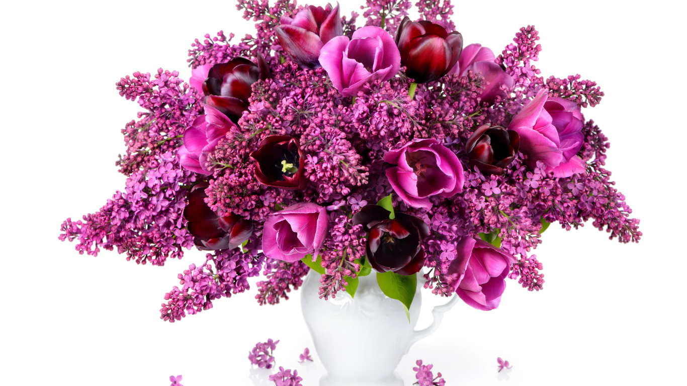 Букет сирени с тюльпанами в белой вазе на белом фоне