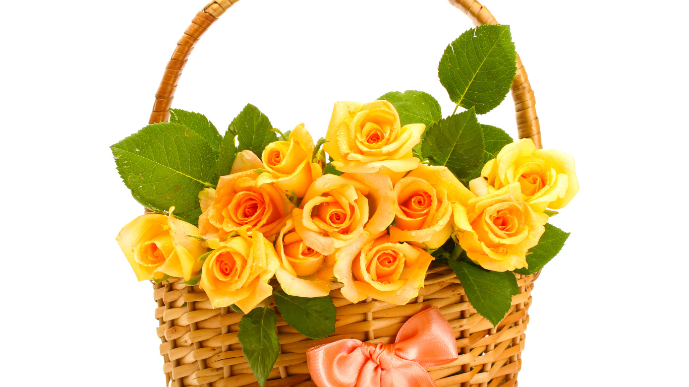 Букет оранжевых роз в корзине с розовым бантиком на белом фоне