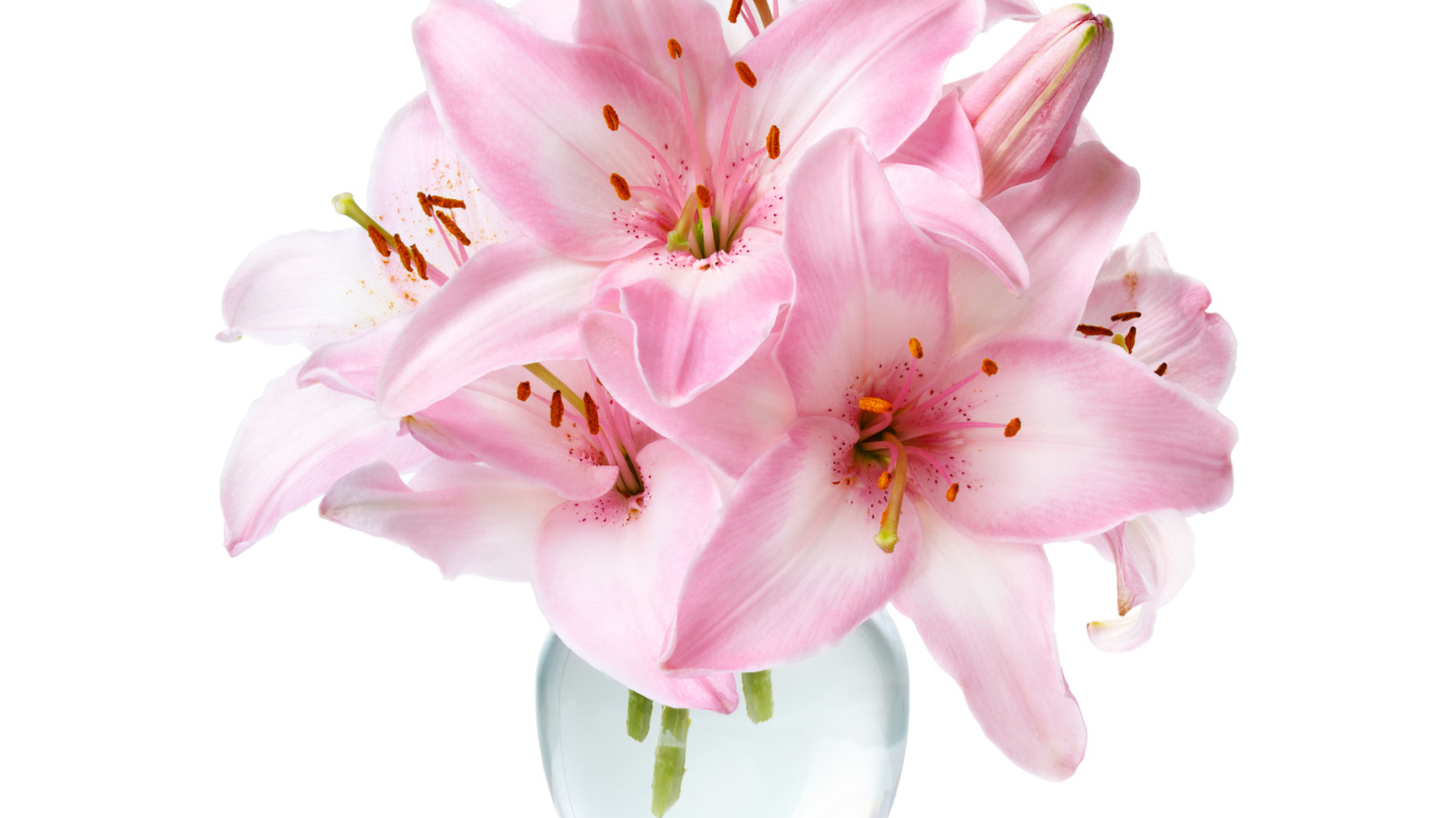 Букет розовых лилий в прозрачной вазе крупным планом