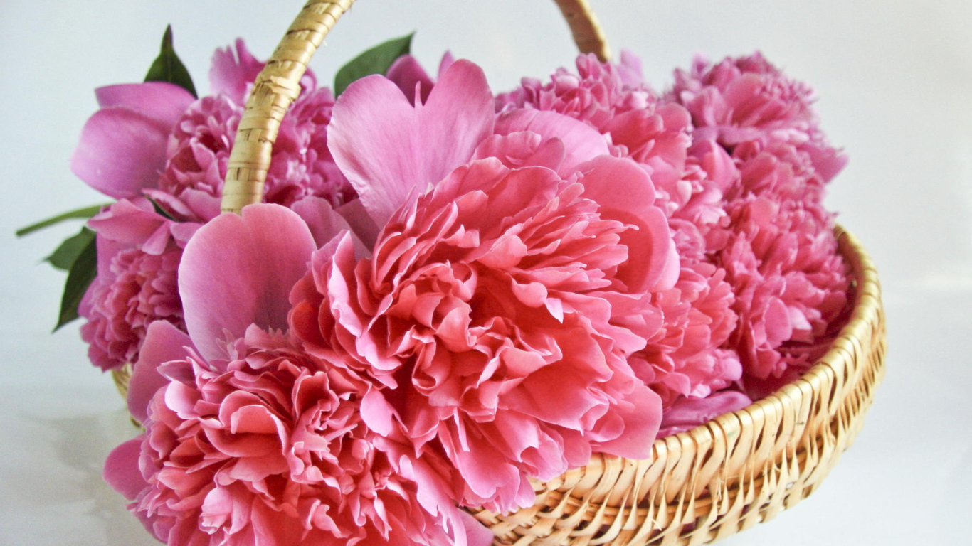 Букет розовых пионов в корзине 