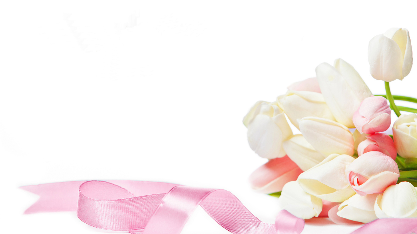 Букет тюльпанов с розовой лентой на белом фоне, шаблон для поздравительной открытки