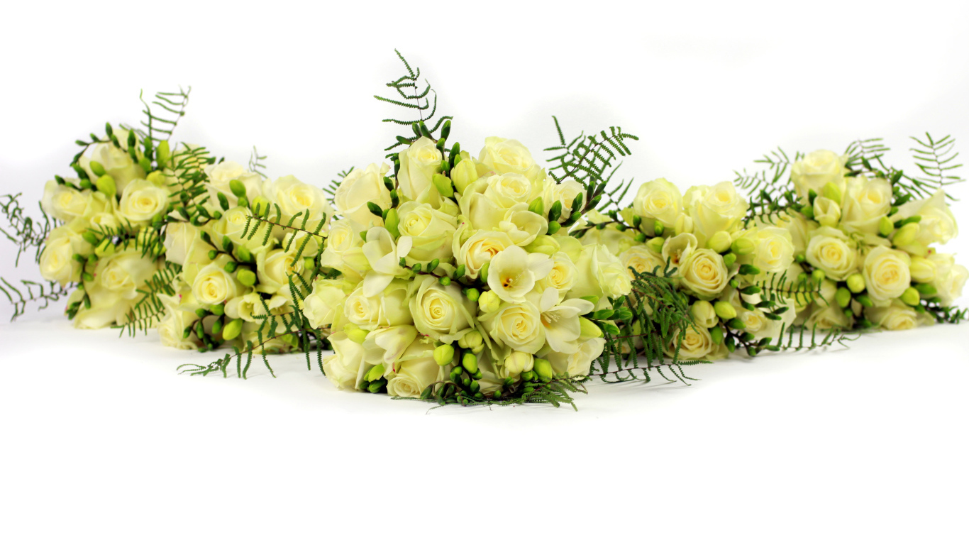 Букеты белых роз и фрезии на белом фоне