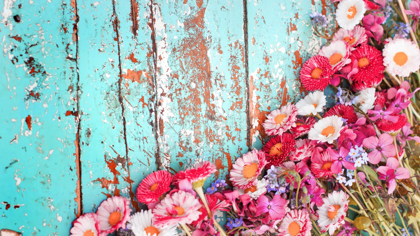 Маргаритки и флоксы на старой деревянной поверхности