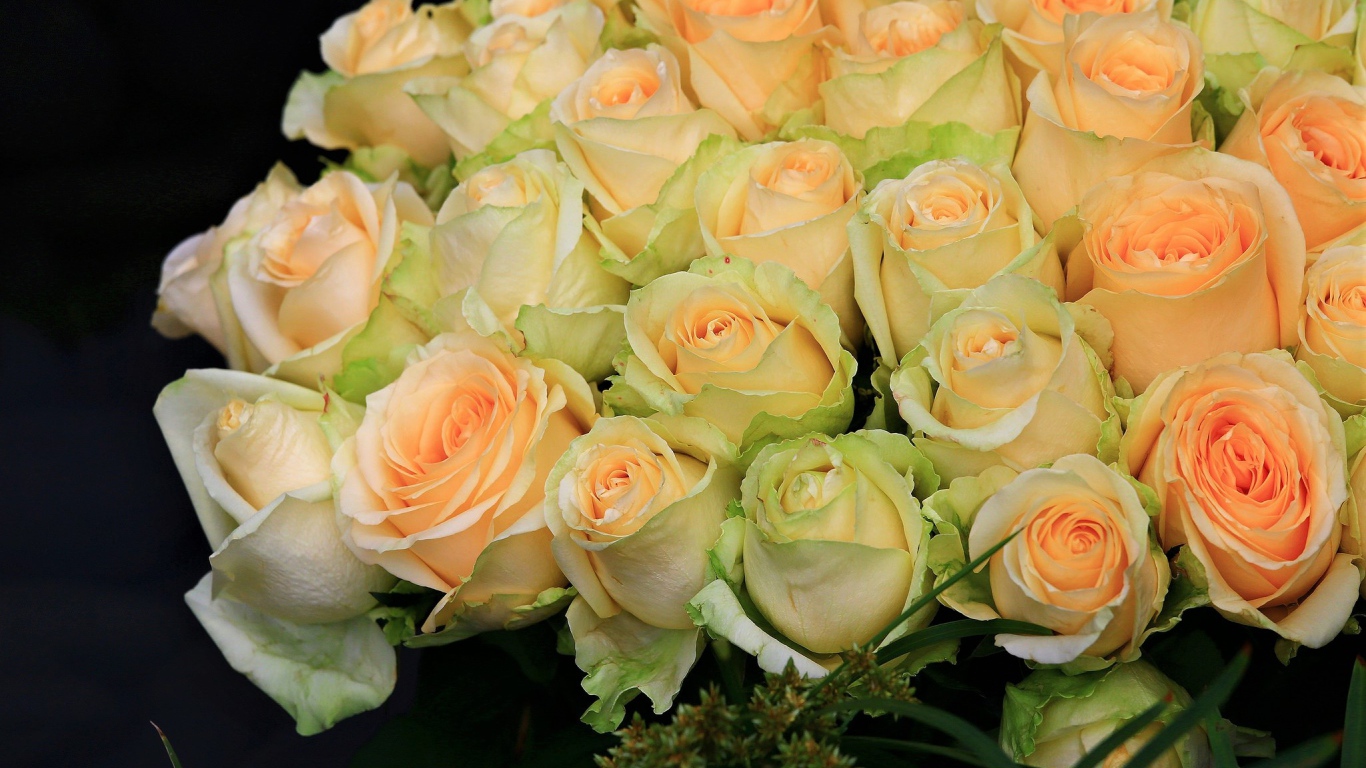 Большой букет нежных роз персикового цвета