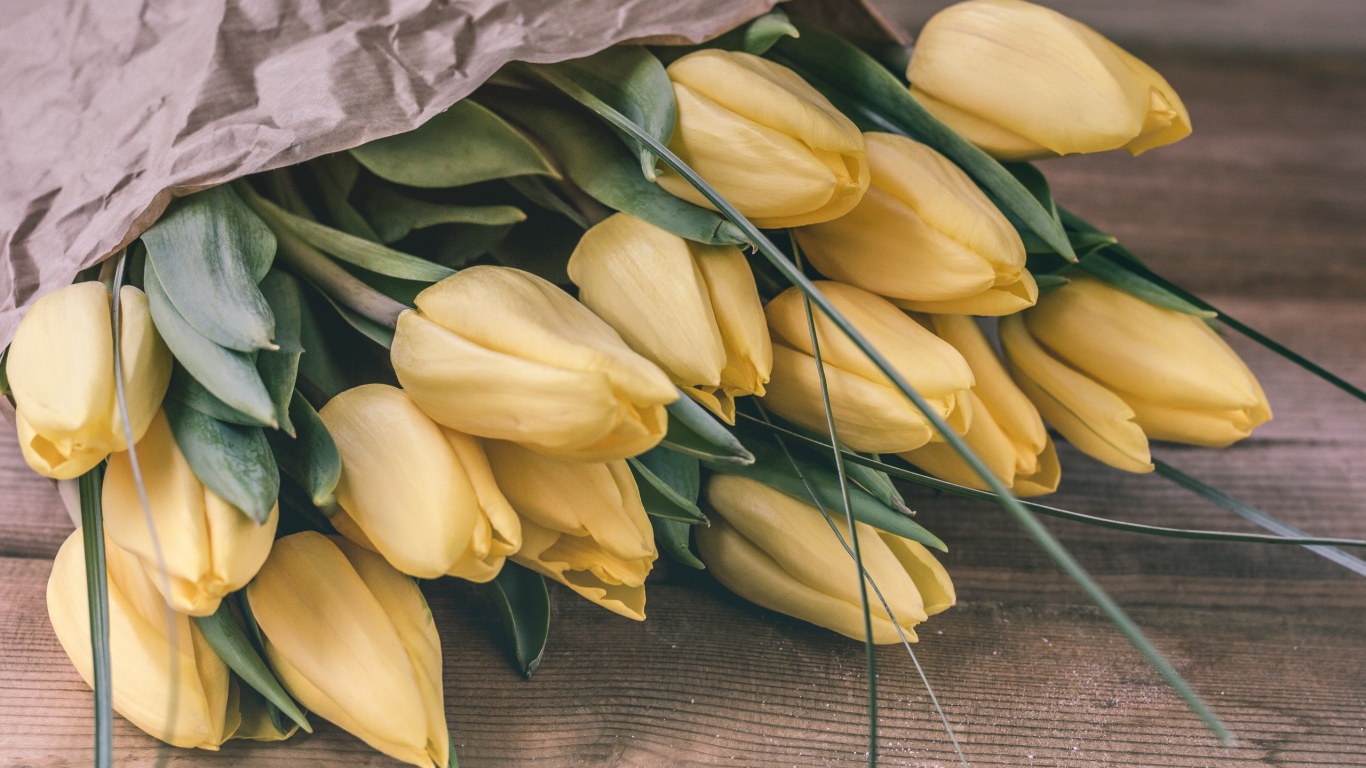 Большой букет желтых тюльпанов в бумаге 