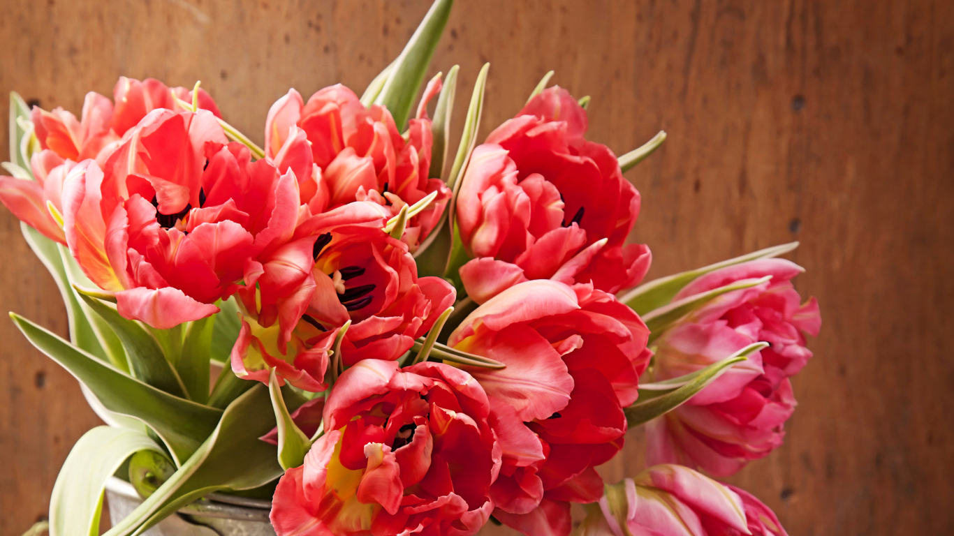 Розовые тюльпаны крупным планом в вазе