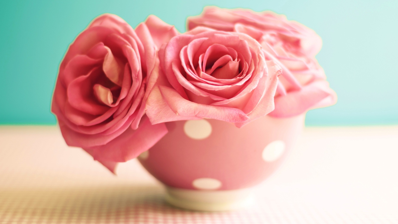 Три розовые розы в вазе на голубом фоне