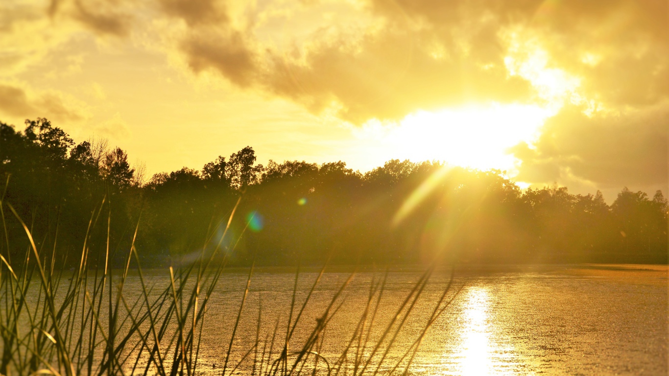 Восход солнца над лесным озером 