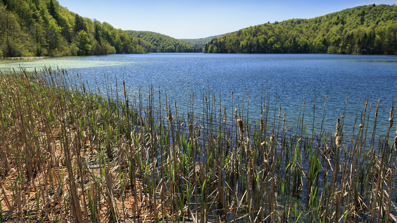 Вид на озеро и лес в Национальном парке Плитвицкие озёра, Хорватия