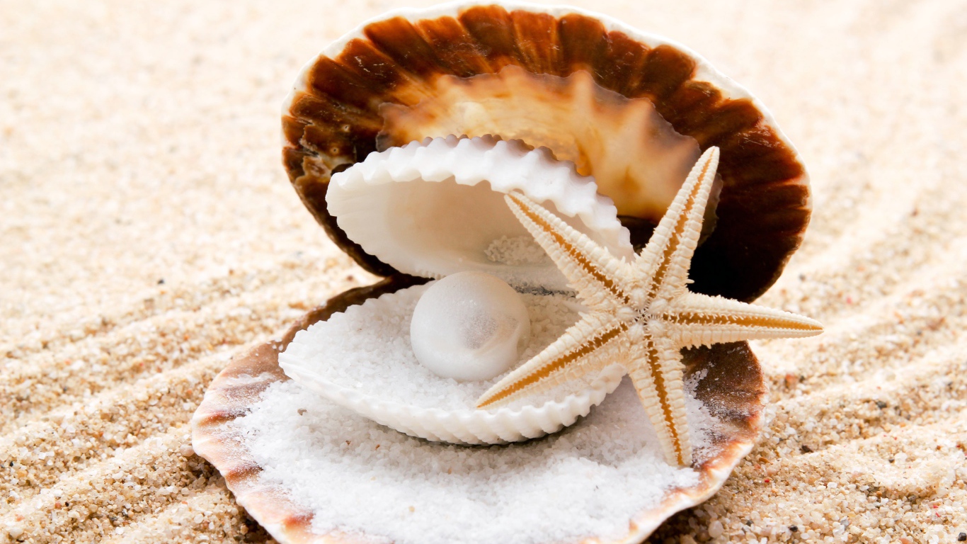 Ракушка с жемчужиной и морская звезда на белом песке у моря