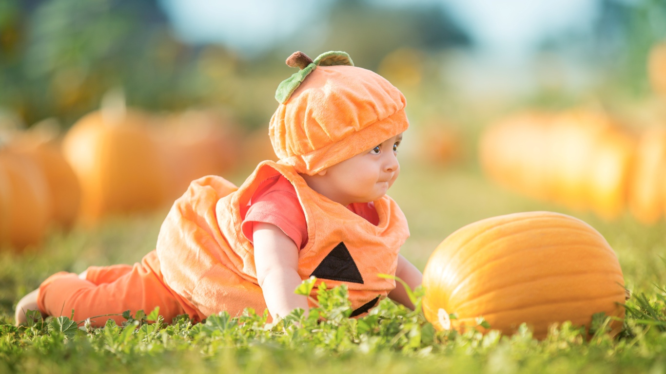 Маленький мальчик в смешном костюме на огороде с тыквой