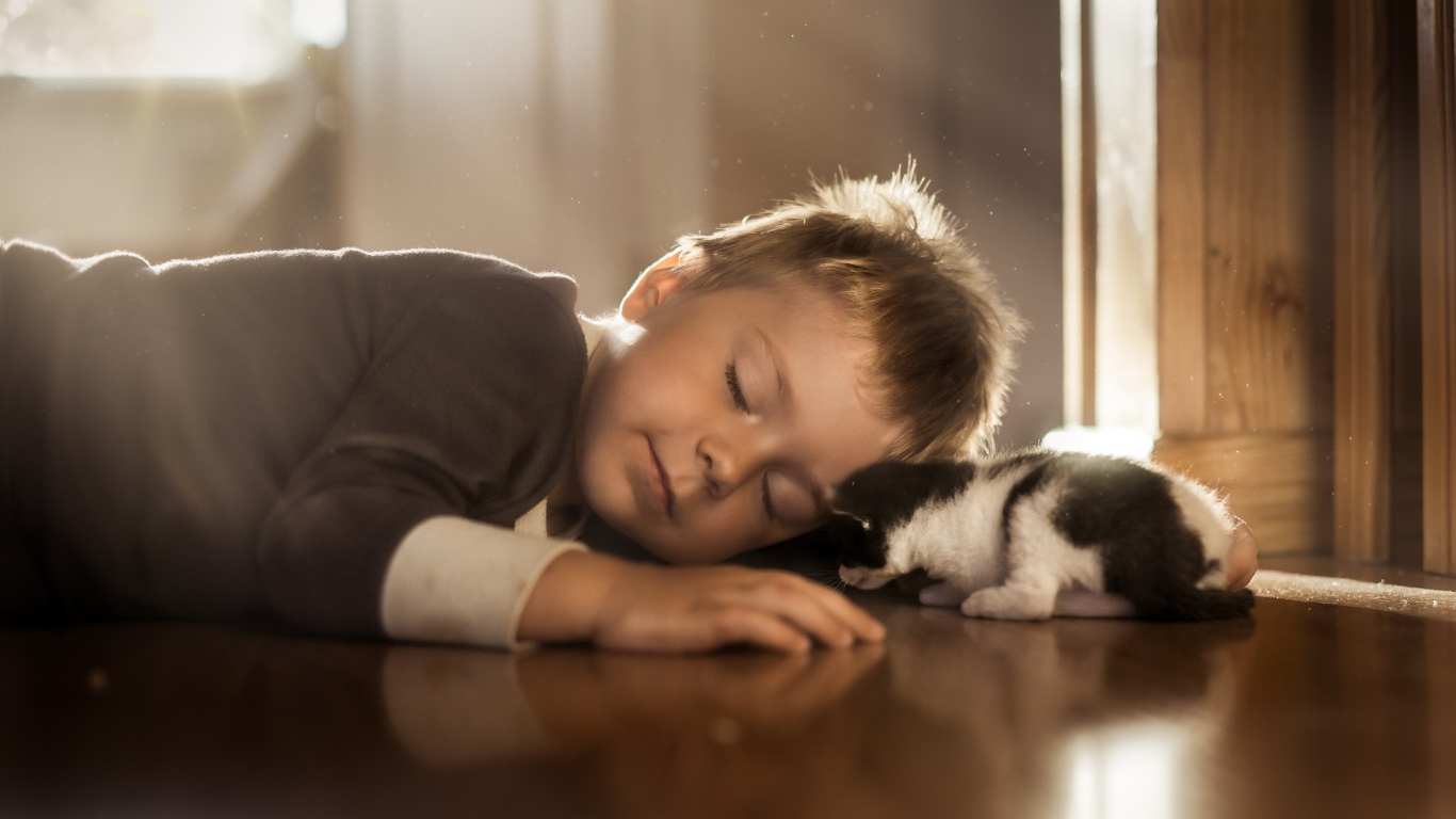 Спящий маленький мальчик и маленький котенок