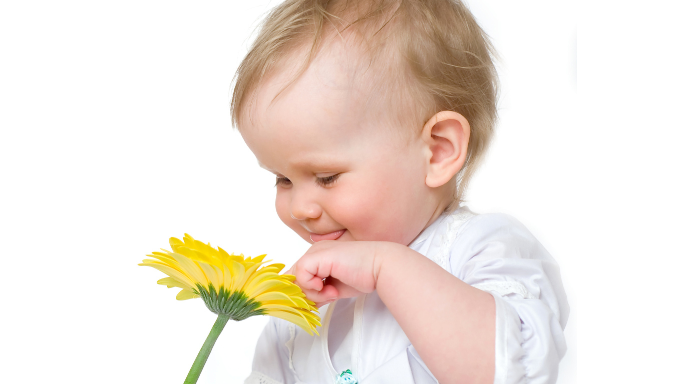 Милый грудной ребенок с желтым цветком герберы на белом фоне