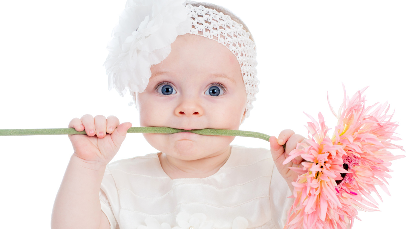 Маленькая голубоглазая девочка с розовым цветком герберы в руках