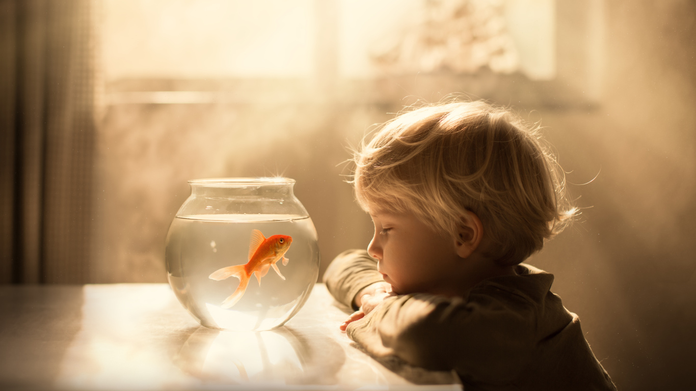 Маленький мальчик смотрит на аквариум с золотой рыбкой