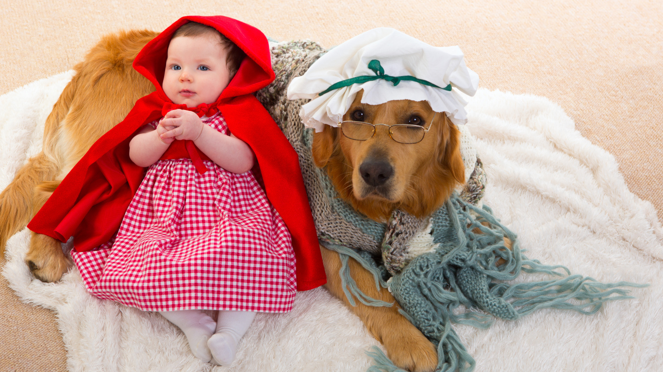 Маленькая девочка в костюме красной шапочки с большой собакой