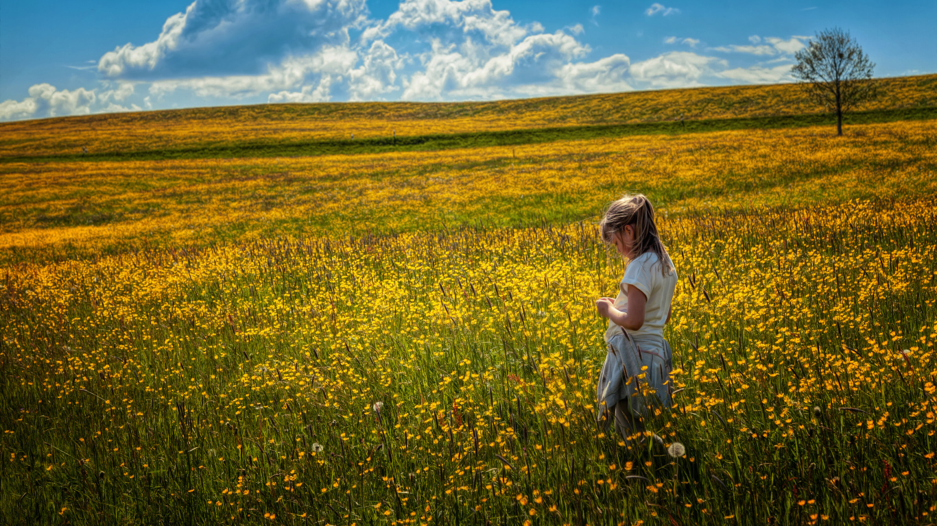 Маленькая девочка гуляет по полю с желтыми цветами
