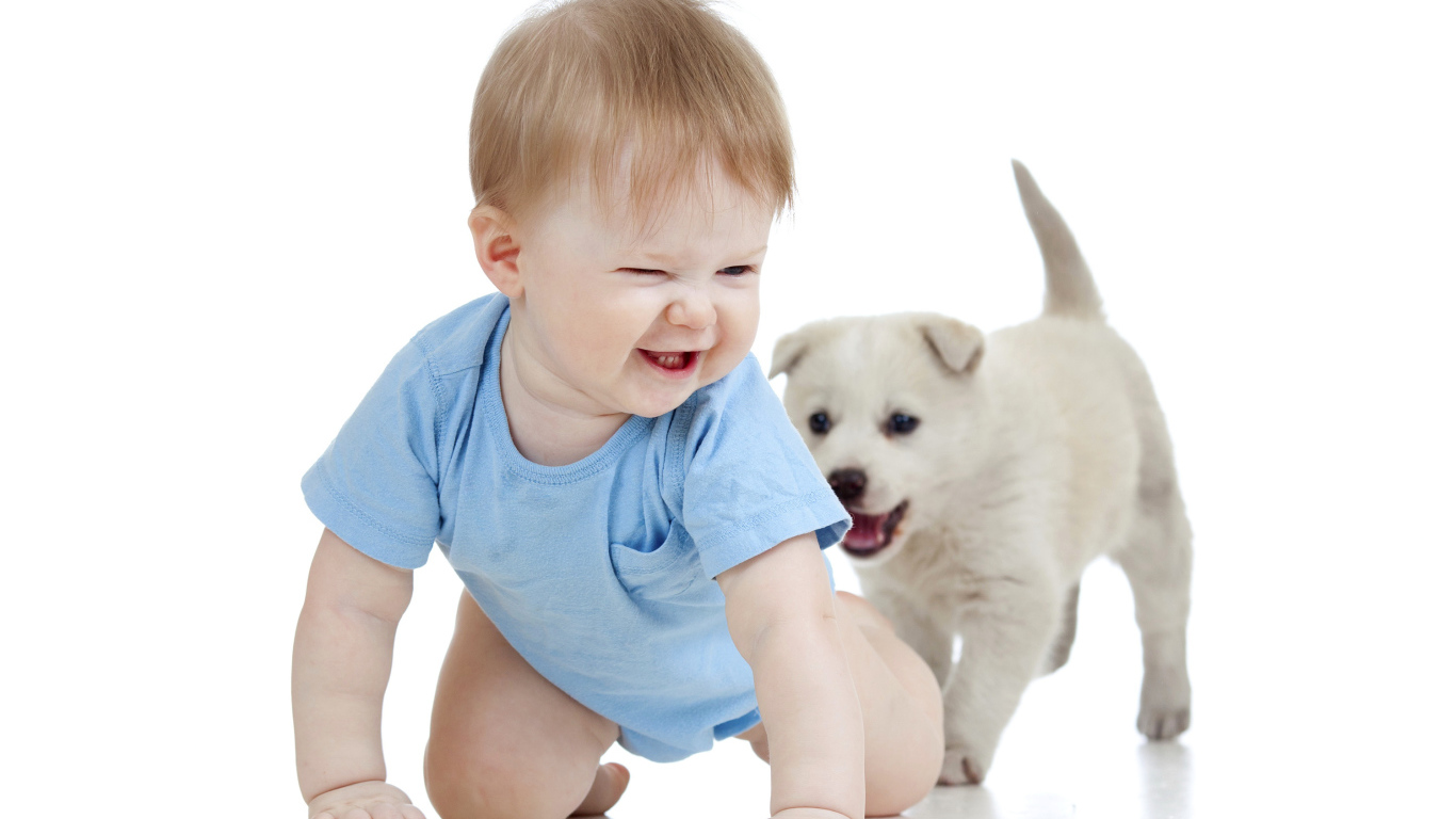 Маленький улыбающийся мальчик с щенком на белом фоне