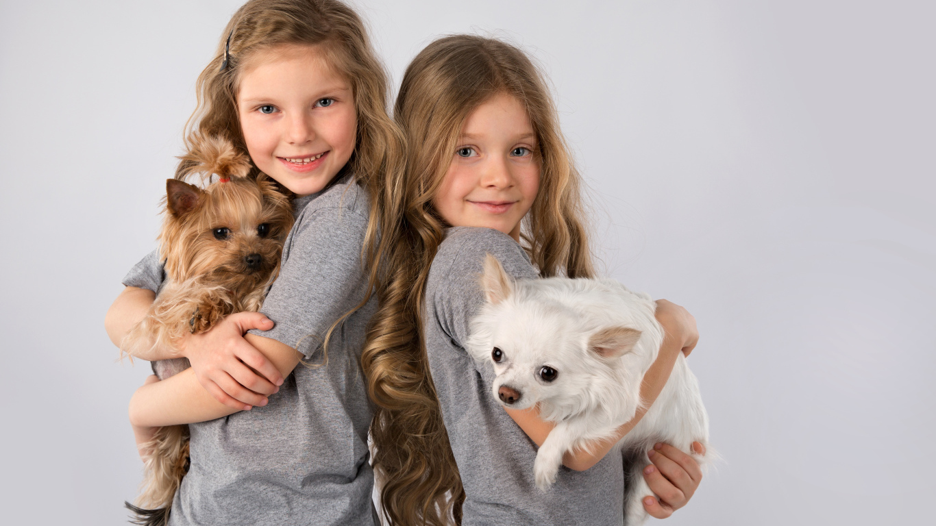 Две маленькие девочки с собачками на руках на сером фоне