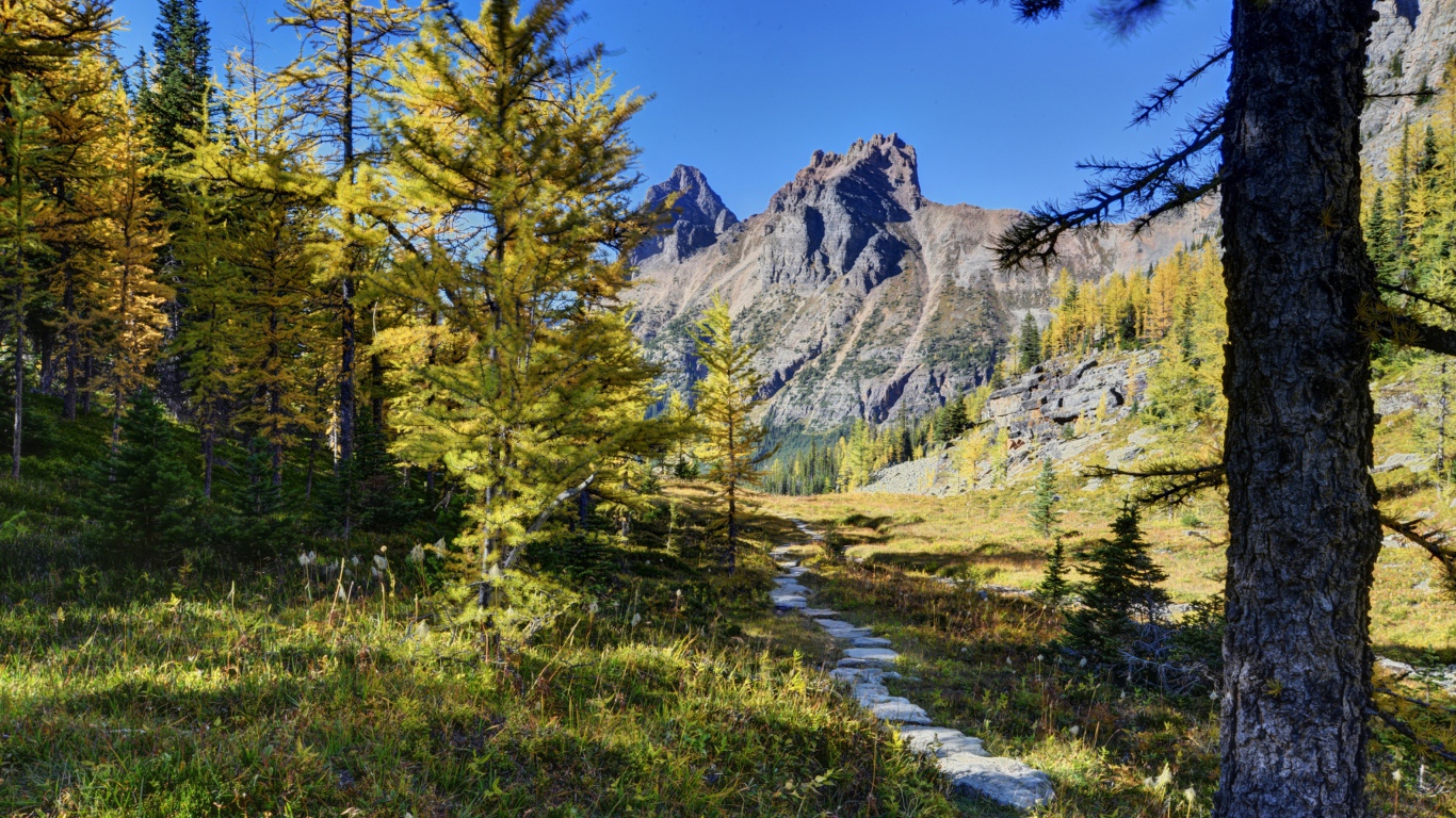 Пейзаж в живописном национальном парке Йохо, Канада 