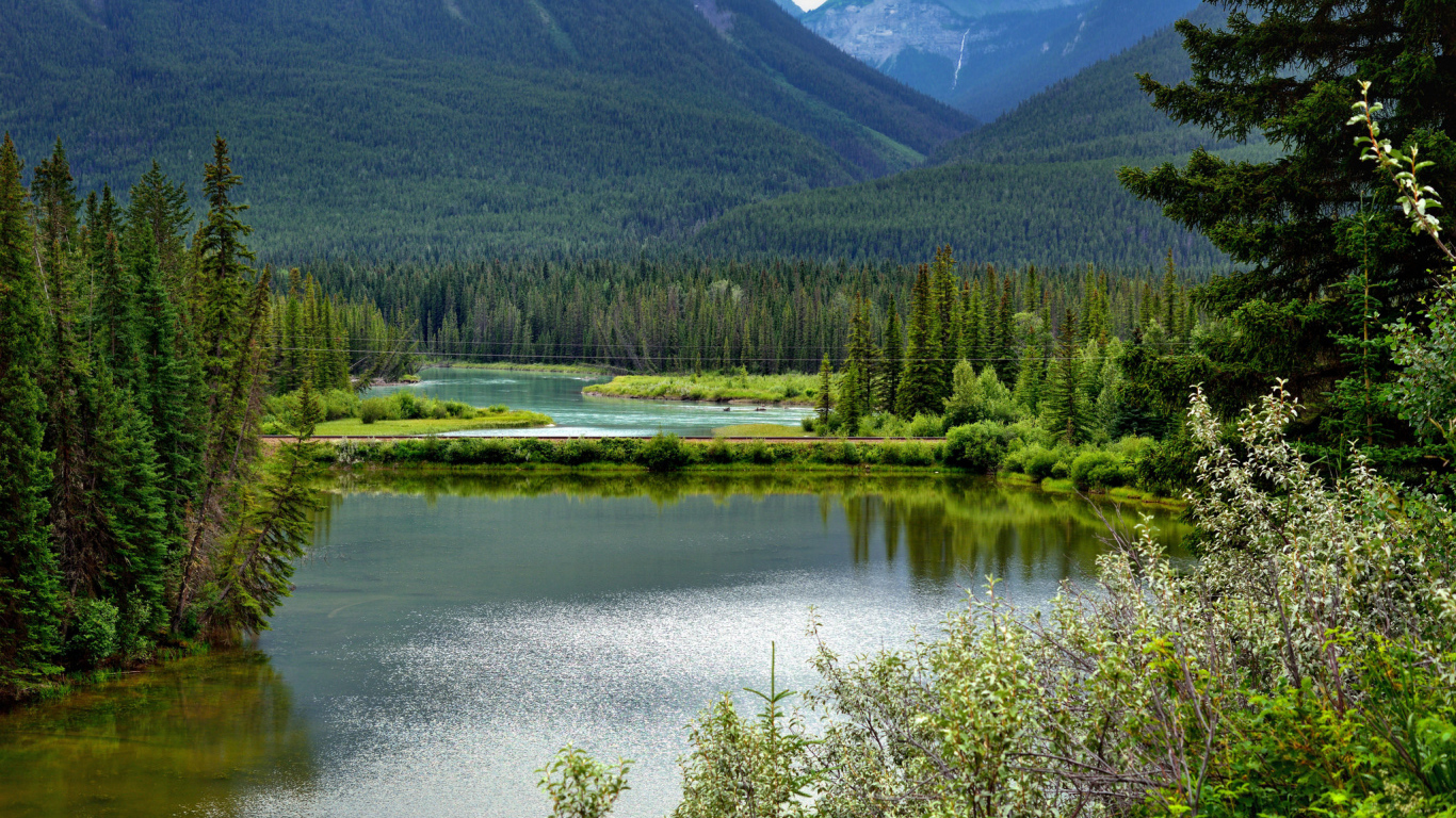 Живописный национальный парк Вуд-Баффало, Канада 