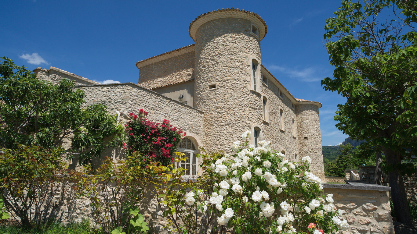 Цветущие кусты роз у стен  замка Murs. Франция