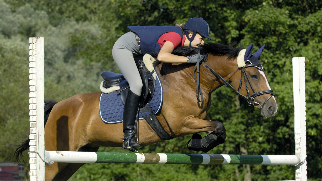 A girl in a sports uniform jumps over a barrier on a horse